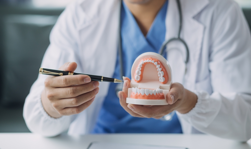 A dentist in a white coat and blue scrubs holds a dental model, pointing at the teeth with a pen while explaining. The model displays upper and lower teeth, and a stethoscope hangs around the dentist's neck.